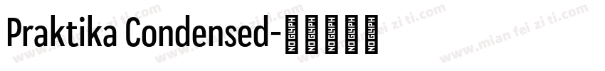 Praktika Condensed字体转换